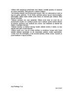 Konspekts 'Filosofija un māksla: jaunrades iespējas un robežas', 2.