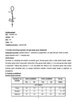 Paraugs 'Kardioloģiska pacienta vēsture', 4.