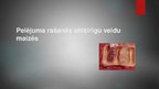 Prezentācija 'Pelējuma rašanās atšķirīgu veidu maizēs', 1.