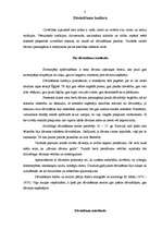 Eseja 'Dāvināšanas kultūra', 2.