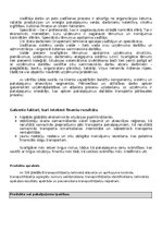 Paraugs 'Transferta cenas', 4.