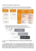 Paraugs 'Transferta cenas', 8.