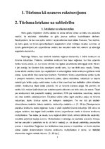 Referāts 'Tūrisma ietekme uz sabiedrību Rīgas rajonā', 5.