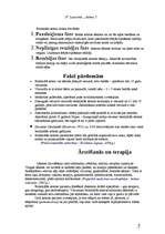 Referāts 'Bronhiālā astma', 5.