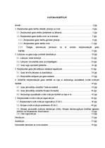 Diplomdarbs 'Starptautisko gaisa tiesību regulējums', 1.