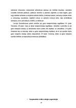 Diplomdarbs 'Starptautisko gaisa tiesību regulējums', 46.