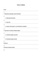 Referāts 'Demokrātija un informācijas tehnoloģijas: vai ir iespējama efektīva e-pārvalde', 2.