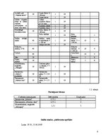 Referāts 'Salidojuma banketa darba organizācija', 9.