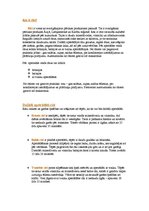 Referāts 'Rīsi, trīs rīsu ēdienu receptes', 2.