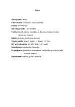 Referāts 'Ķīna', 1.