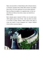 Referāts 'Ķīna', 8.