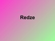Prezentācija 'Redze', 1.