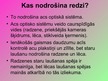 Prezentācija 'Redze', 7.