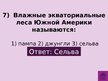 Prezentācija 'Викторина о Южной Америке', 10.