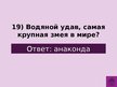 Prezentācija 'Викторина о Южной Америке', 22.