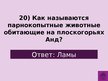 Prezentācija 'Викторина о Южной Америке', 23.