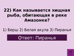 Prezentācija 'Викторина о Южной Америке', 25.