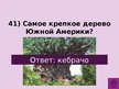 Prezentācija 'Викторина о Южной Америке', 44.
