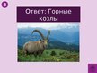 Prezentācija 'Викторина о Южной Америке', 58.