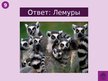 Prezentācija 'Викторина о Южной Америке', 64.