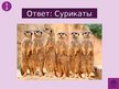 Prezentācija 'Викторина о Южной Америке', 67.