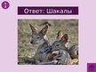 Prezentācija 'Викторина о Южной Америке', 68.
