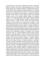 Prakses atskaite 'Kvalifikācijas prakse personālvadībā', 5.