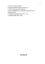 Prakses atskaite 'Kvalifikācijas prakse personālvadībā', 21.