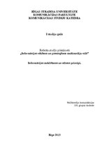 Referāts 'Informācijas meklēšanas un atlases principi', 1.