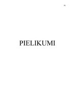 Diplomdarbs 'Aizbildnības un aizgādnības problēmu risinājums Latvijā', 86.