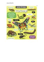 Konspekts 'Nedēļas plāns', 3.