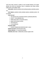 Diplomdarbs 'Periodonta slimības un to profilakses pasākumi', 6.