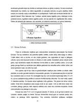 Referāts 'Antīkās Romas arhitektūra', 8.