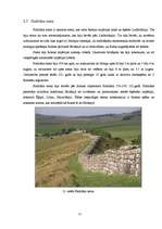 Referāts 'Antīkās Romas arhitektūra', 13.