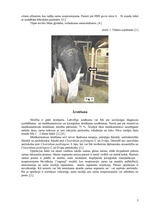 Konspekts 'Hemorāģisko zarnu sindroms', 5.