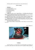 Konspekts 'Hemorāģisko zarnu sindroms', 7.