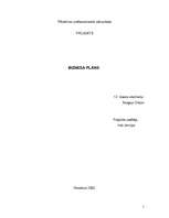 Biznesa plāns 'Biznesa plāns datorfirmai', 1.