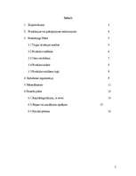 Biznesa plāns 'Biznesa plāns datorfirmai', 2.