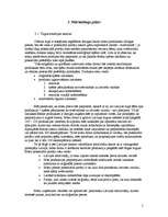 Biznesa plāns 'Biznesa plāns datorfirmai', 5.