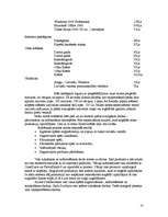 Biznesa plāns 'Biznesa plāns datorfirmai', 10.