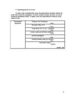 Biznesa plāns 'Biznesa plāns datorfirmai', 13.