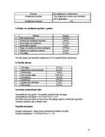 Biznesa plāns 'Biznesa plāns datorfirmai', 16.