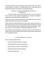 Prakses atskaite 'Uzņēmuma SIA "X" darbības organizēšana un plānošana', 17.