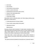 Prakses atskaite 'Uzņēmuma SIA "X" darbības organizēšana un plānošana', 19.