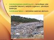 Prezentācija 'Ekoloģijas pamatprincipi un ekoloģiskie faktori', 17.