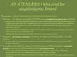 Prezentācija 'AS STENDERS revīzijas analīzes programma', 11.