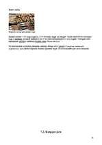 Referāts 'Krievijas Federācija', 14.