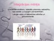 Prezentācija 'Integrācija', 6.