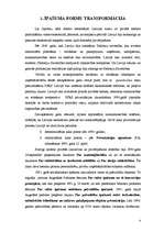 Referāts 'Privatizācijas process Latvijā', 4.