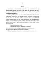 Referāts 'Raksturs, tā veidošanās', 3.